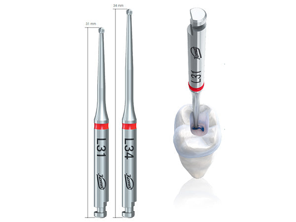 Load image into Gallery viewer, 31 mm and 34 mm length of the EndoTracers