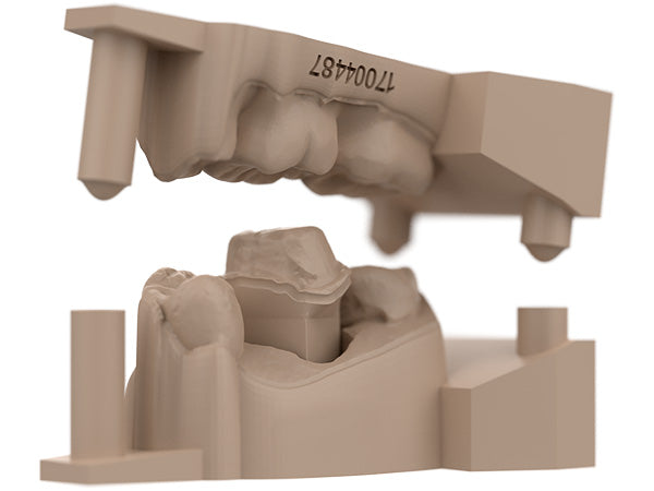 Load image into Gallery viewer, sprintray materials die model tan resin hero