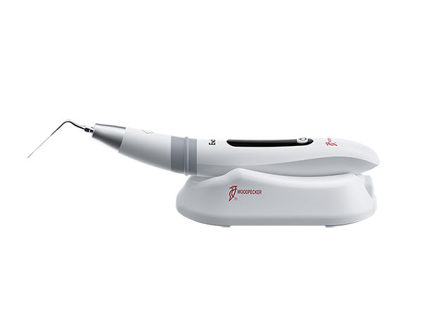 Chargez l'image dans la visionneuse de la galerie, woodpecker endo 3 with base