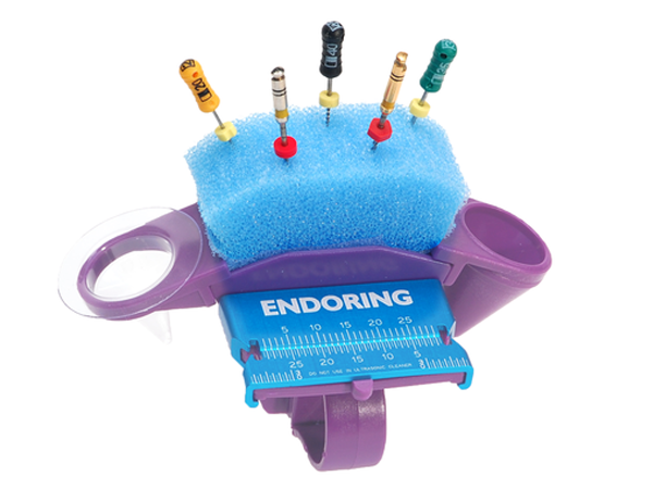 Load image into Gallery viewer, Endoring II violet with metal ruler