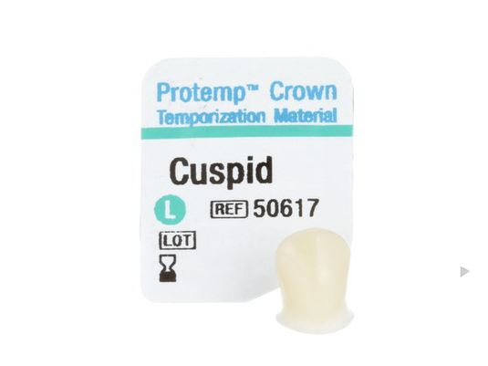 3M Protemp Crown Cuspid Large