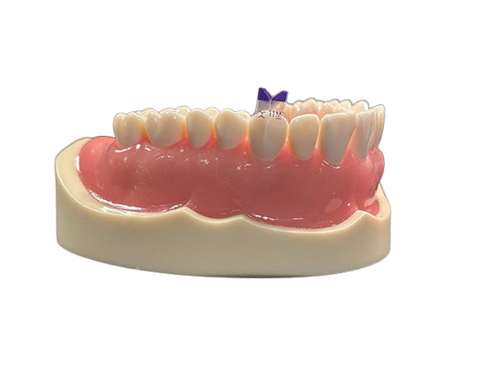 Bioclear™ Tooth & Surface Specific (TSS) Anterior Matrix Refills