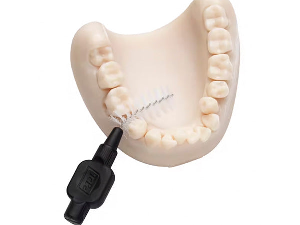 Tepe Model TePe Dental Model – Clinical Research Dental