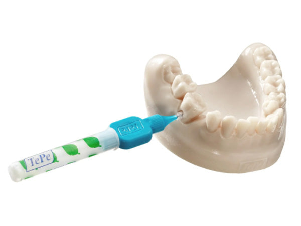 Tepe Model TePe Dental Model – Clinical Research Dental