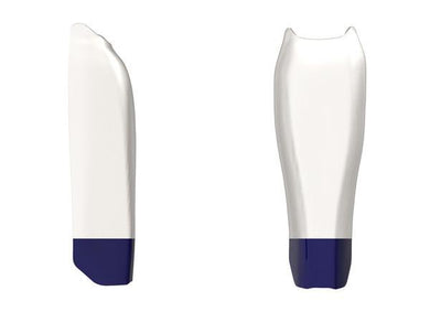 Bioclear Products for Modern Dental Restorations – Clinical Research Dental