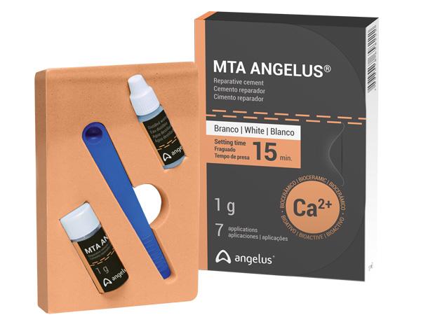 Load image into Gallery viewer, MTA Angelus Reparative Cement 1 g white
